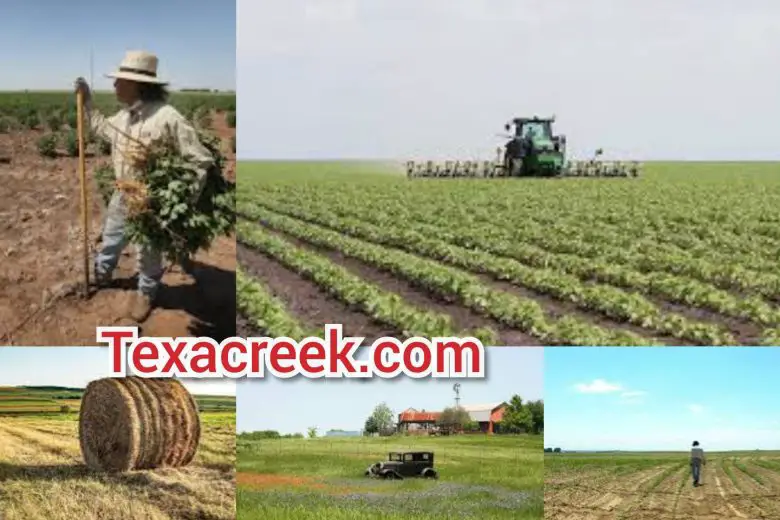 Top 10 Farming Areas In Texas